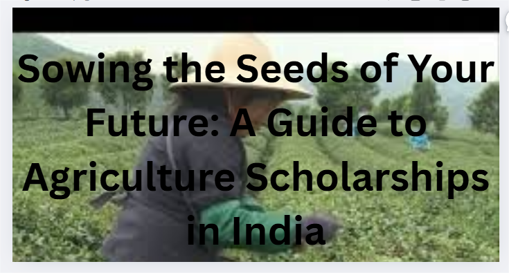 Sowing the Seeds of Your Future: A Guide to Agriculture Scholarships in India